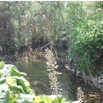 Walk a Canale Monterano