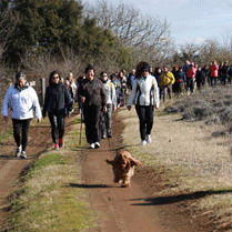 Walk in Tuscia ad Arvalia