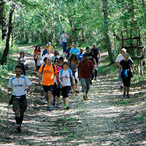 Walk in Tuscia a Tuscania